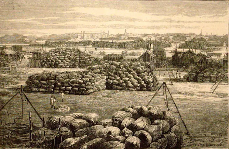 An engraving showing Bombay cotton yards in the 19th century.