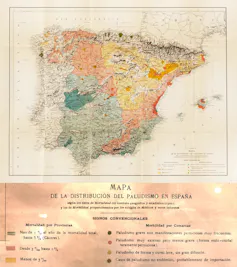 Sadi de Buen, Gambusinos y el mito de la erradicación de la malaria 1 file 20260526 71 stouuw.jpg?ixlib=rb 4.1