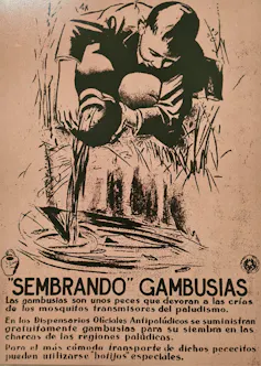 Sadi de Buen, Gambusinos y el mito de la erradicación de la malaria 2 file 20260526 57 i8v6n4.jpg?ixlib=rb 4.1