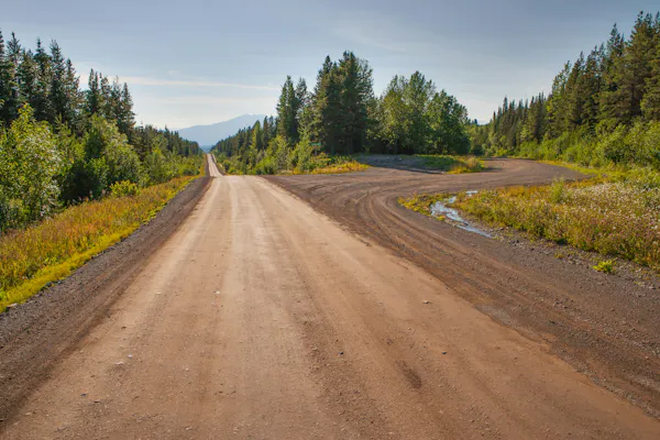 A dirt track cuts through a decimated forest