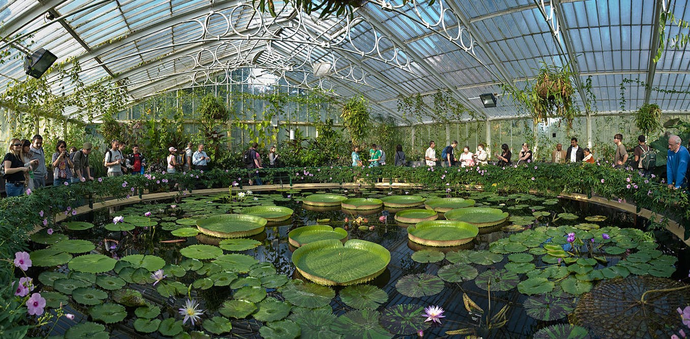 New Years Day Kew Gardens What Cures May Lie Within Kew Gardens Give It The Financial Freedom To Find Them New Years Day Kew Gardens What Cures May Lie Within Kew Gardens Give It The Financial Freedom To Find Them