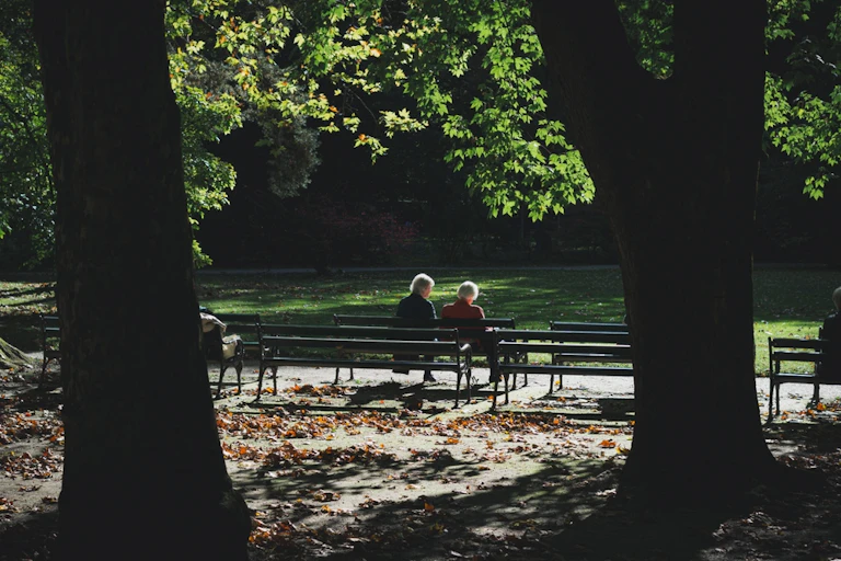 Two people sitting on a bench under a tree.