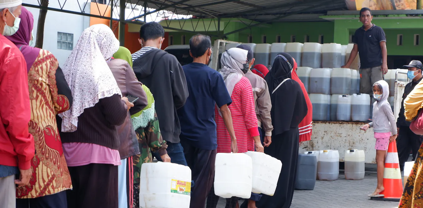 Mandatori B50: Jalan Energi Hijau yang Berpotensi Mengulang Tragedi Minyak Goreng 2022