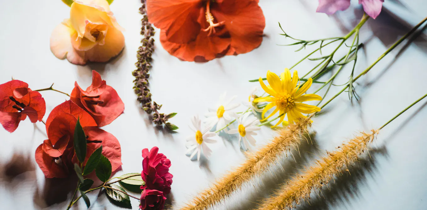 EnviroWireDaily — Can stimulating the sense of smell be beneficial for the brain?