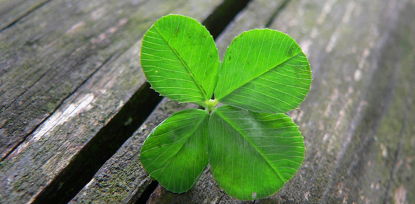 Explainer: does luck exist?