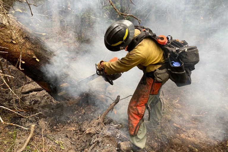 A firefighters works with a chainsaw to cut a partially burning tree.