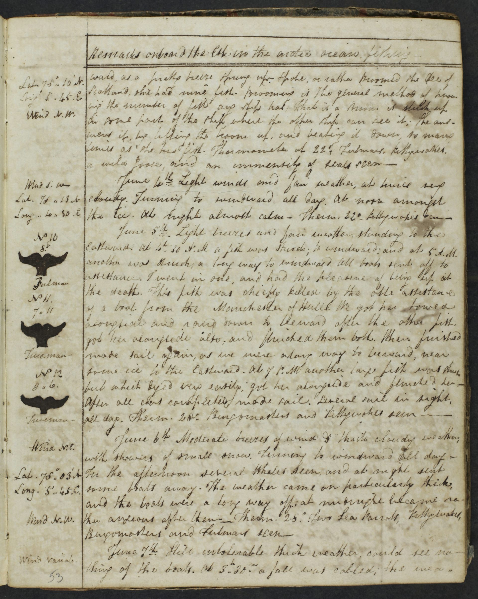 An image of an Arctic whaling logbook