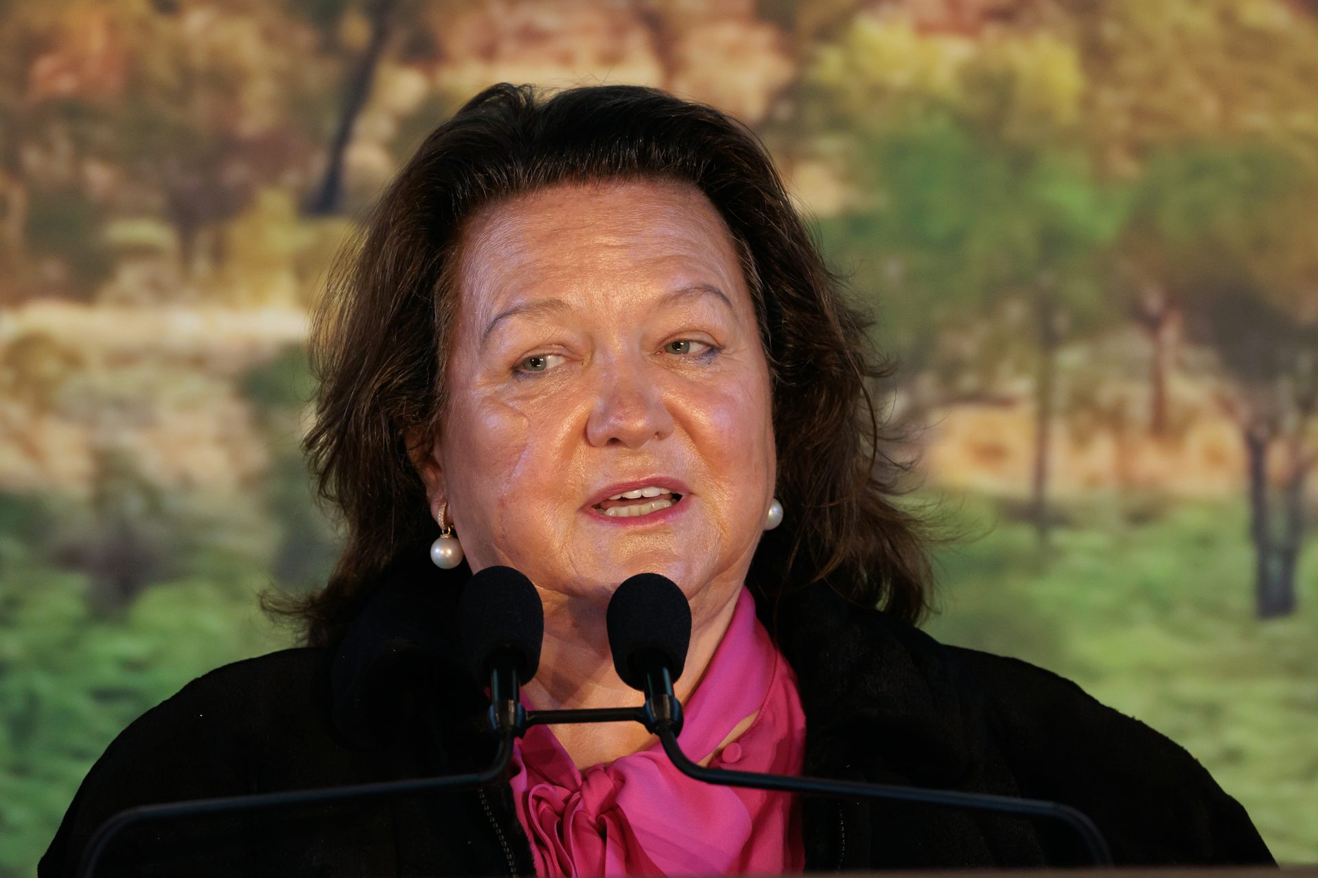 Gina Rinehart and Southern Cross Austereo: what do billionaire media buyouts mean for democracy?