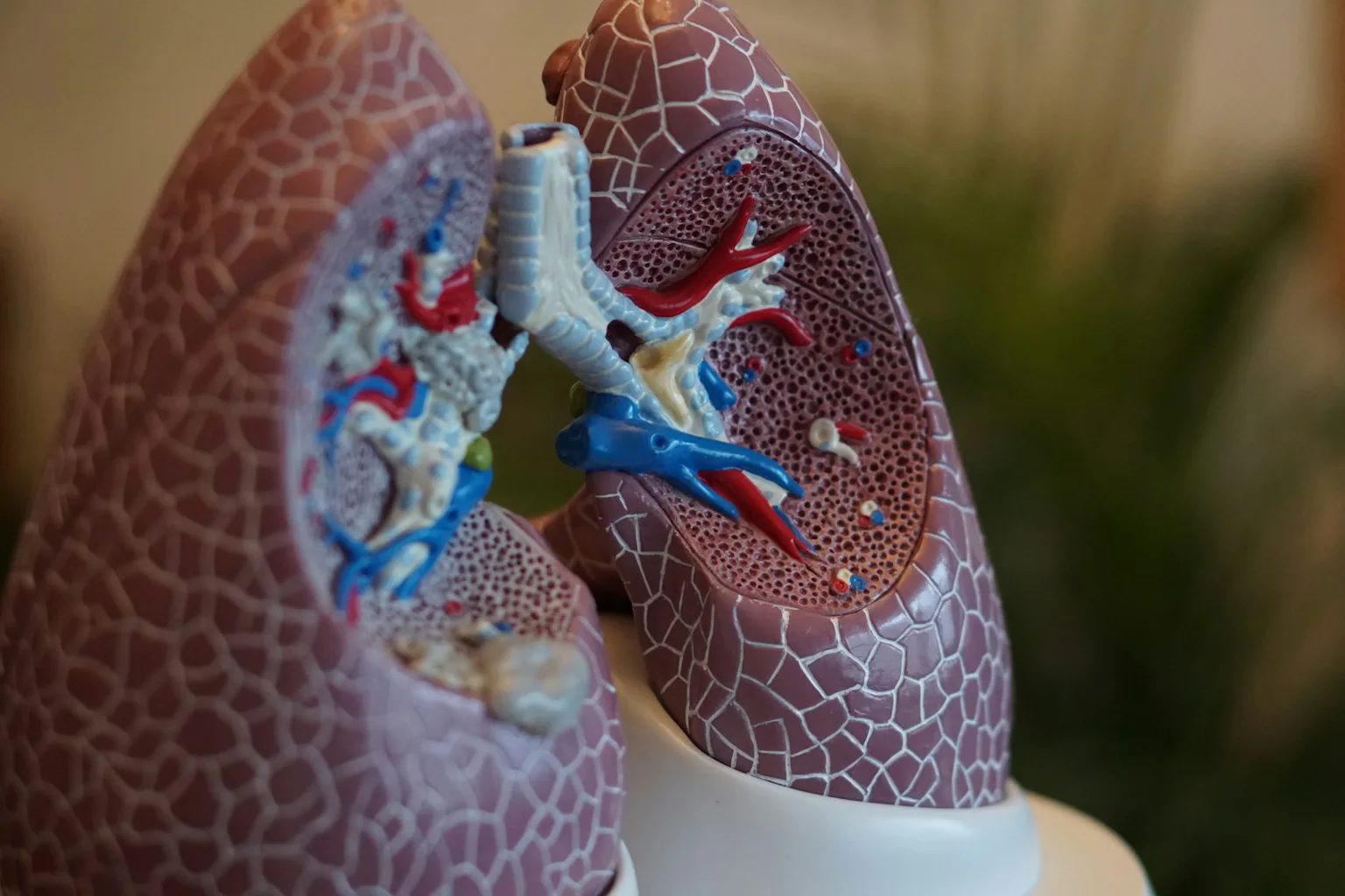 Australia’s lung cancer screening program is a year old. But can the ...