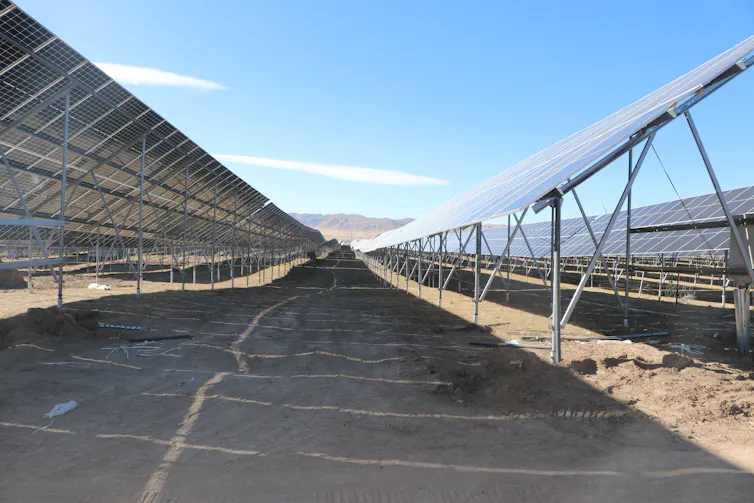 Mostly bare ground lies between rows of solar panels.