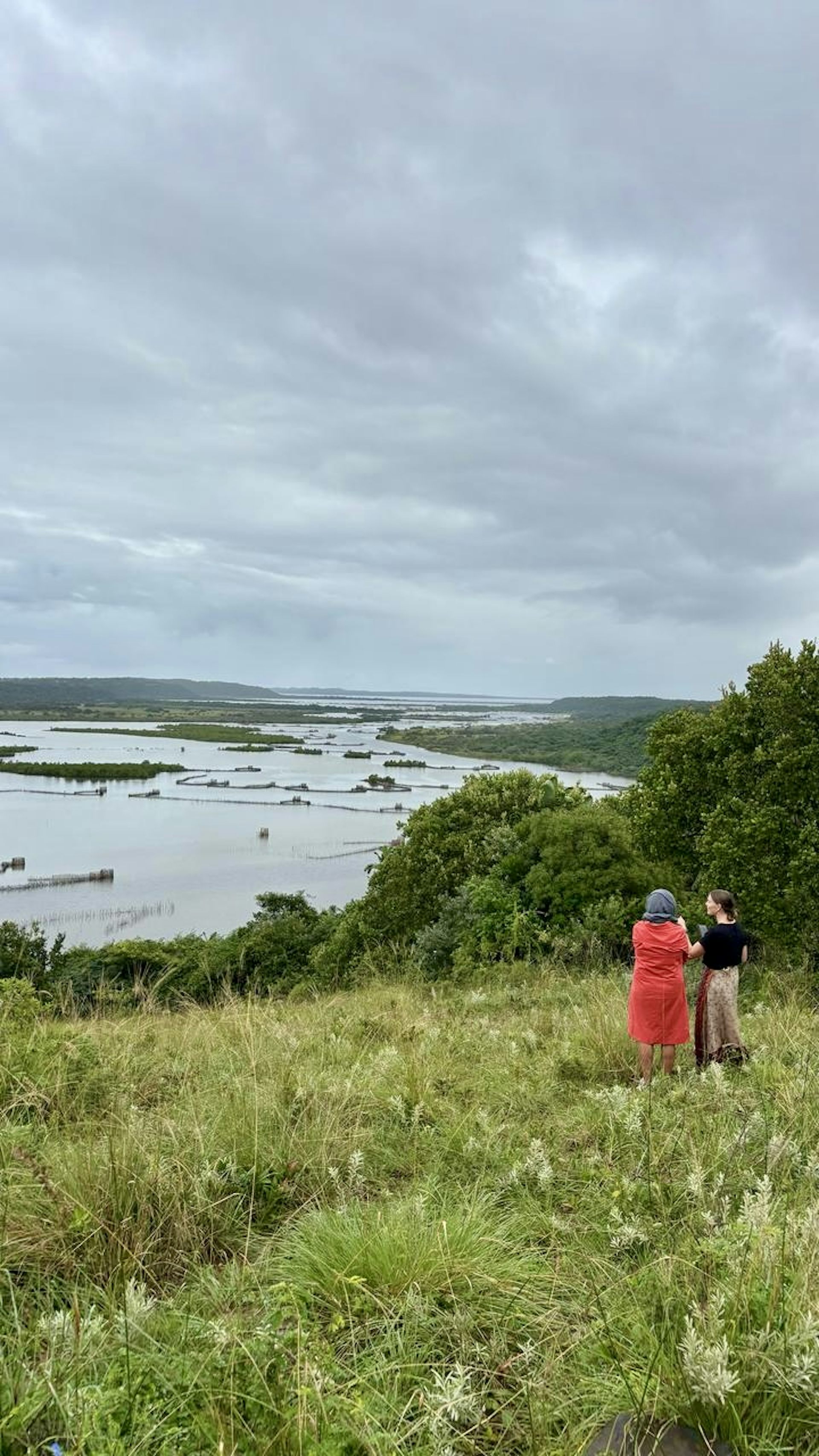 paisaje verde cerca de la superficie del agua
