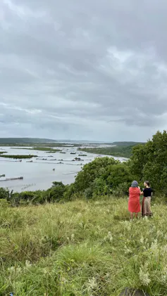 paisaje verde cerca de la superficie del agua