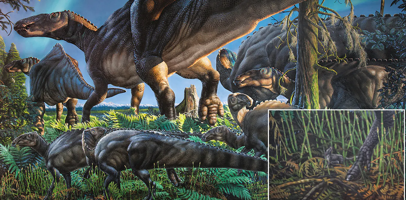 Life in the ancient Arctic: tiny teeth of newly discovered species suggest it was a cradle of mammalian evolution