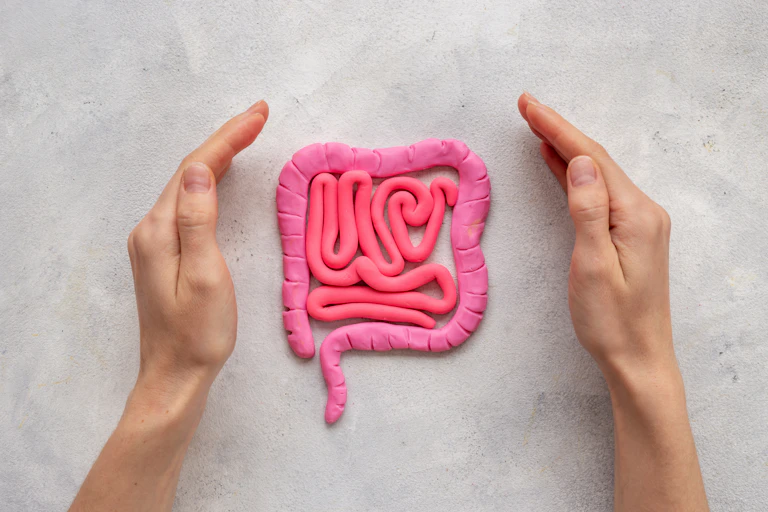 Human intestines colon organ shape made out of playdoh