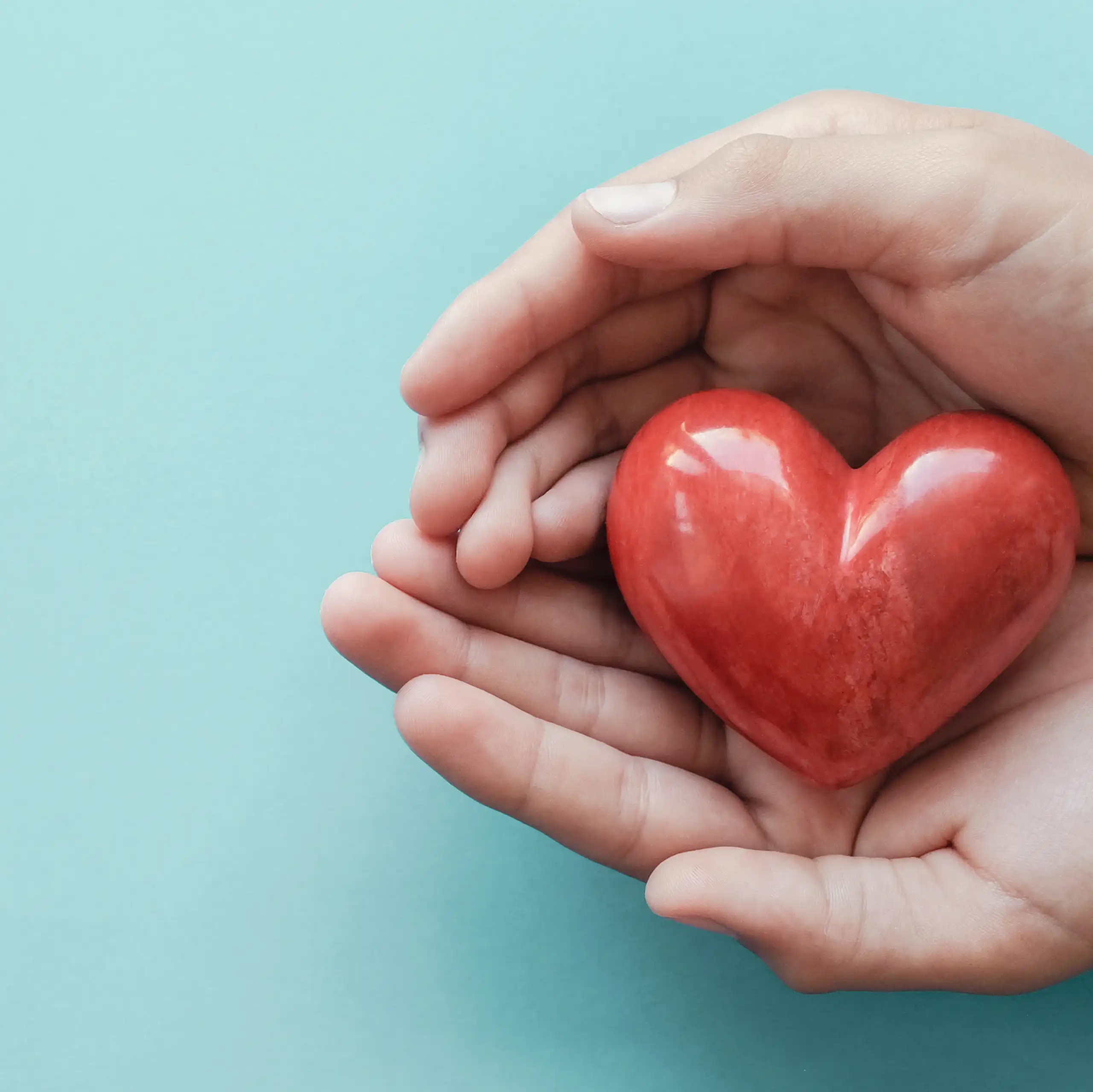 Une main entoure un coeur rouge.