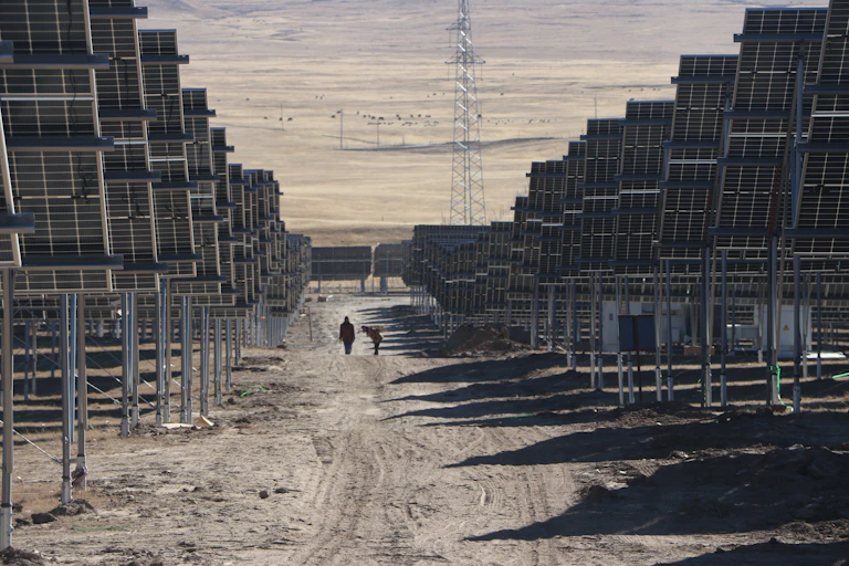 People walk on a dirt road between many rows of metal posts supporting large metal panels, with livestock and grassland visible in the distance.