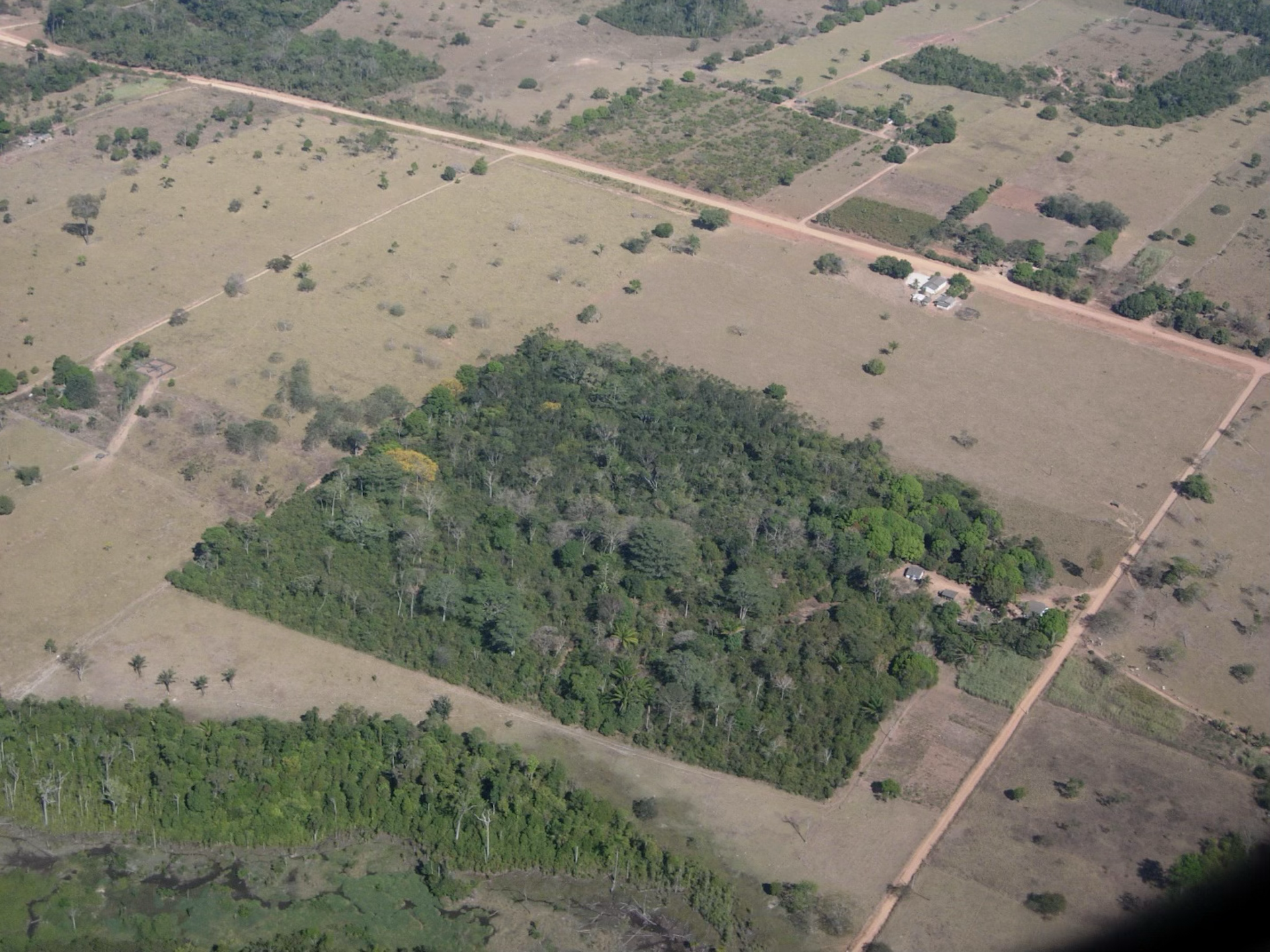 Foto mostra um fragmento florestal, cheio de árvores, cercado por uma área de pastagem, onde se vê várias árvores isoladas e uma mata ciliar