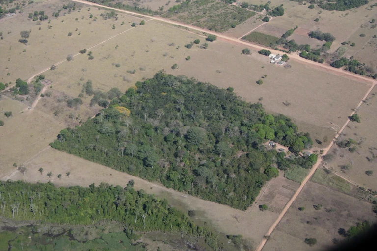 Foto mostra um fragmento florestal, cheio de árvores, cercado por uma área de pastagem, onde se vê várias árvores isoladas e uma mata ciliar