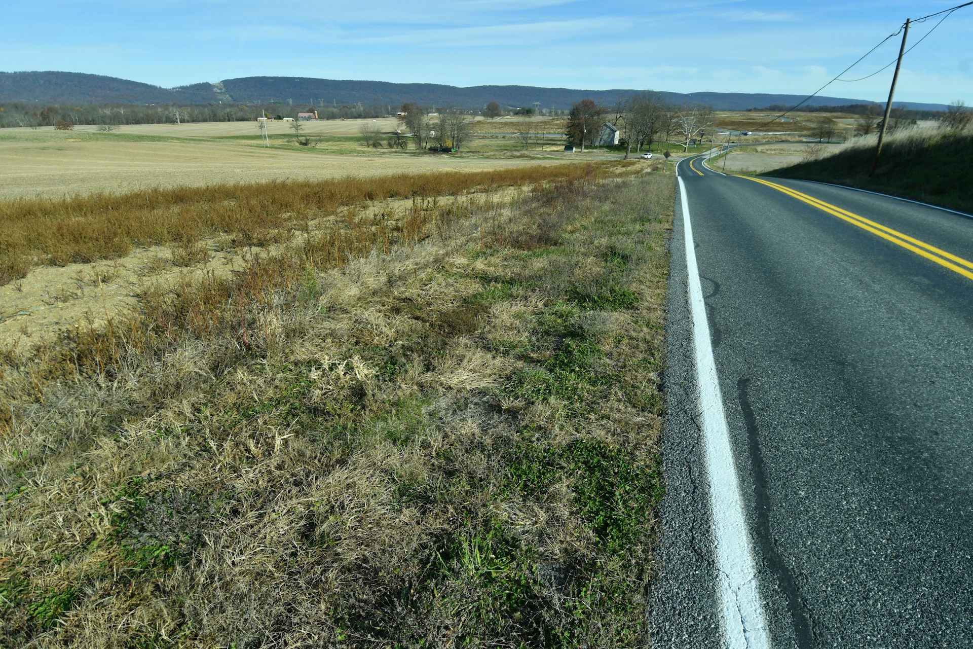 Rural grassy area alongside a highway