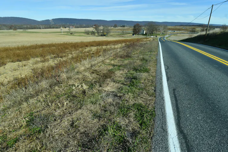 Rural grassy area alongside a highway
