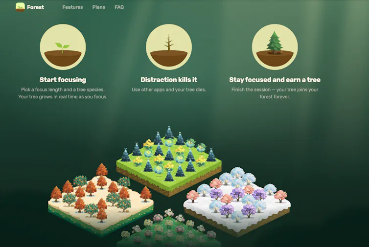 Une capture d'écran du site Web de l'application Forest montrant une forêt colorée d'arbres numériques.