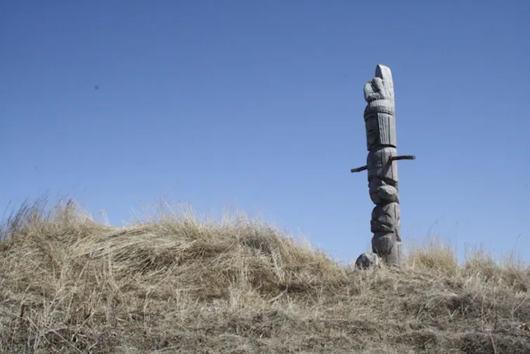 a wooden pole in a grassland area