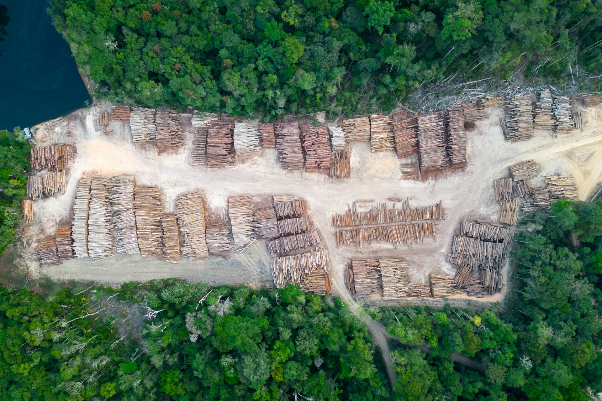 Vue d'en haut sur des tronçons de bois prêts à être transportés hors de la forêt.