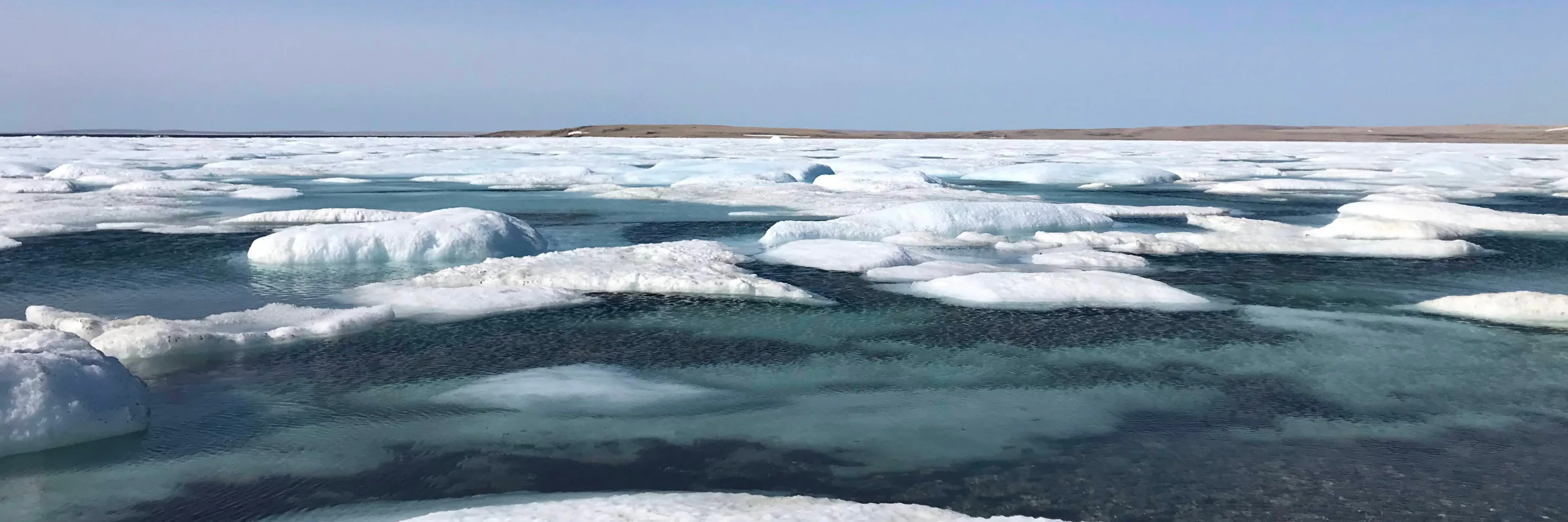 Researchers ask us to rethink the ways we see and study the Arctic Researchers ask us to rethink the ways we see and study the Arctic