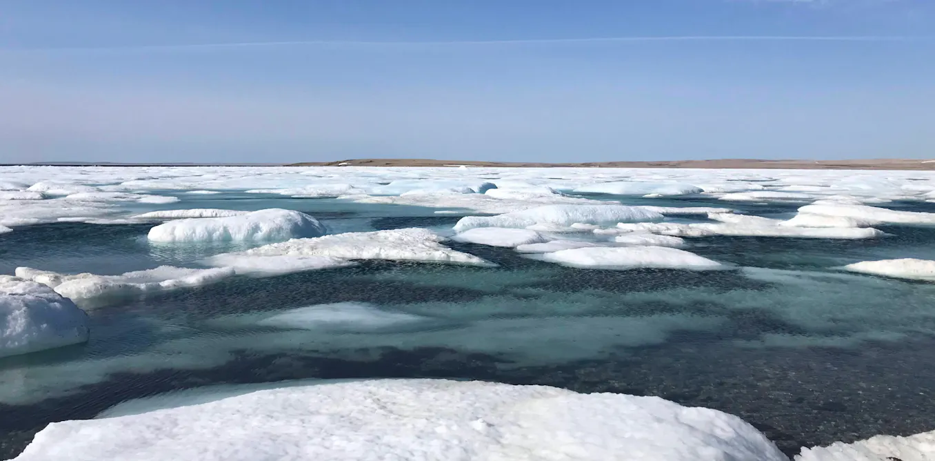 EnviroWireDaily — Researchers ask us to rethink the ways we see and study the Arctic
