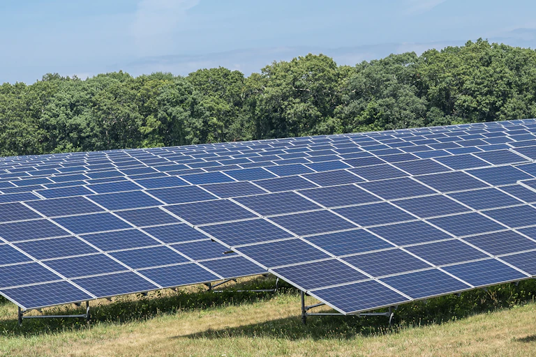 Rows of solar panels sit in a field beneath a bright blue sky.