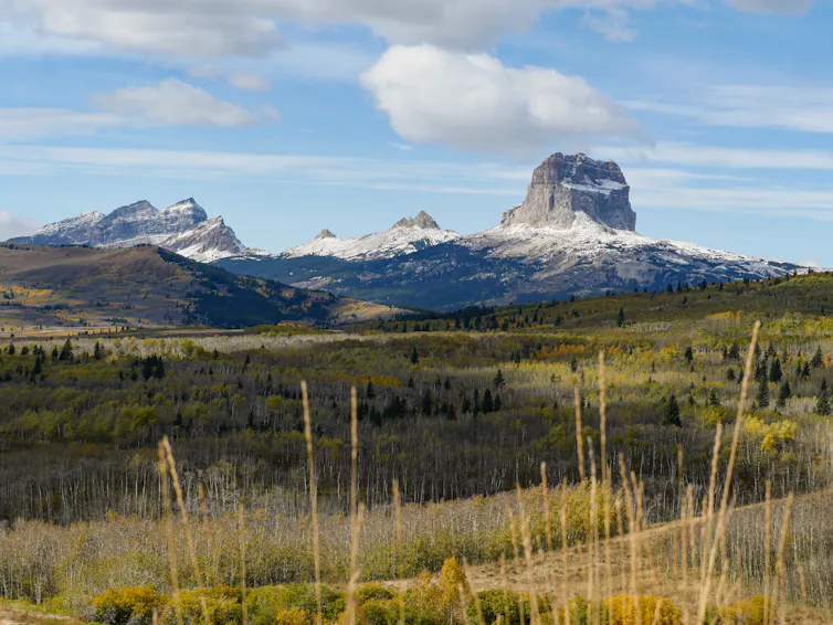 A grassy landscape view shows mountain peaks in the distance.