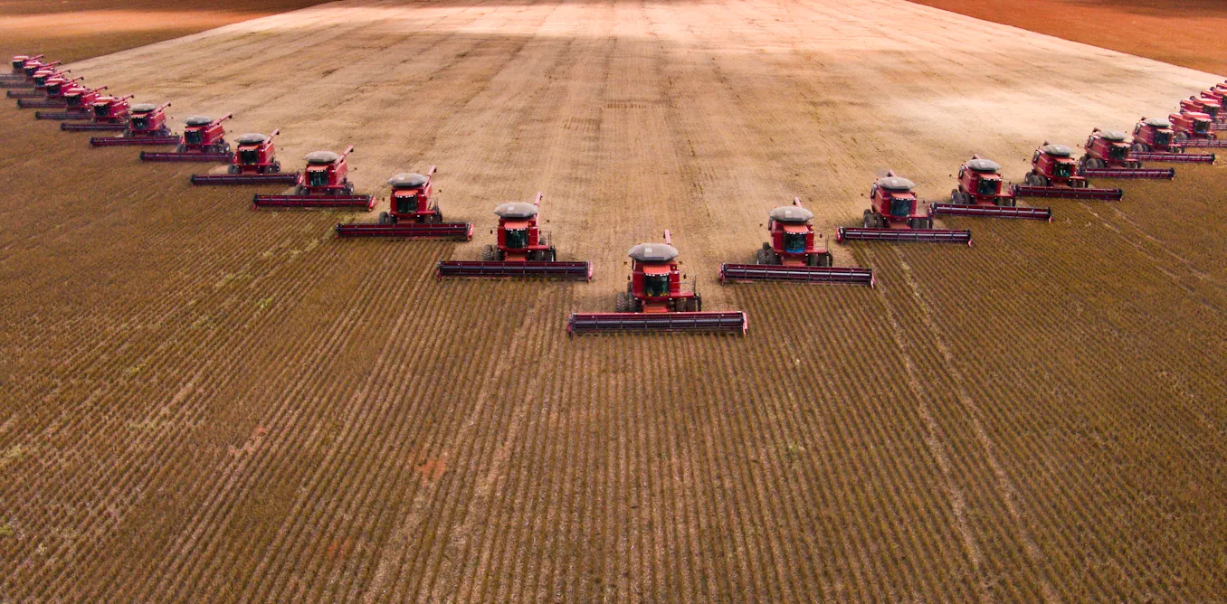 Monoculture Encapsulates Two Opposing Cultural Anxieties