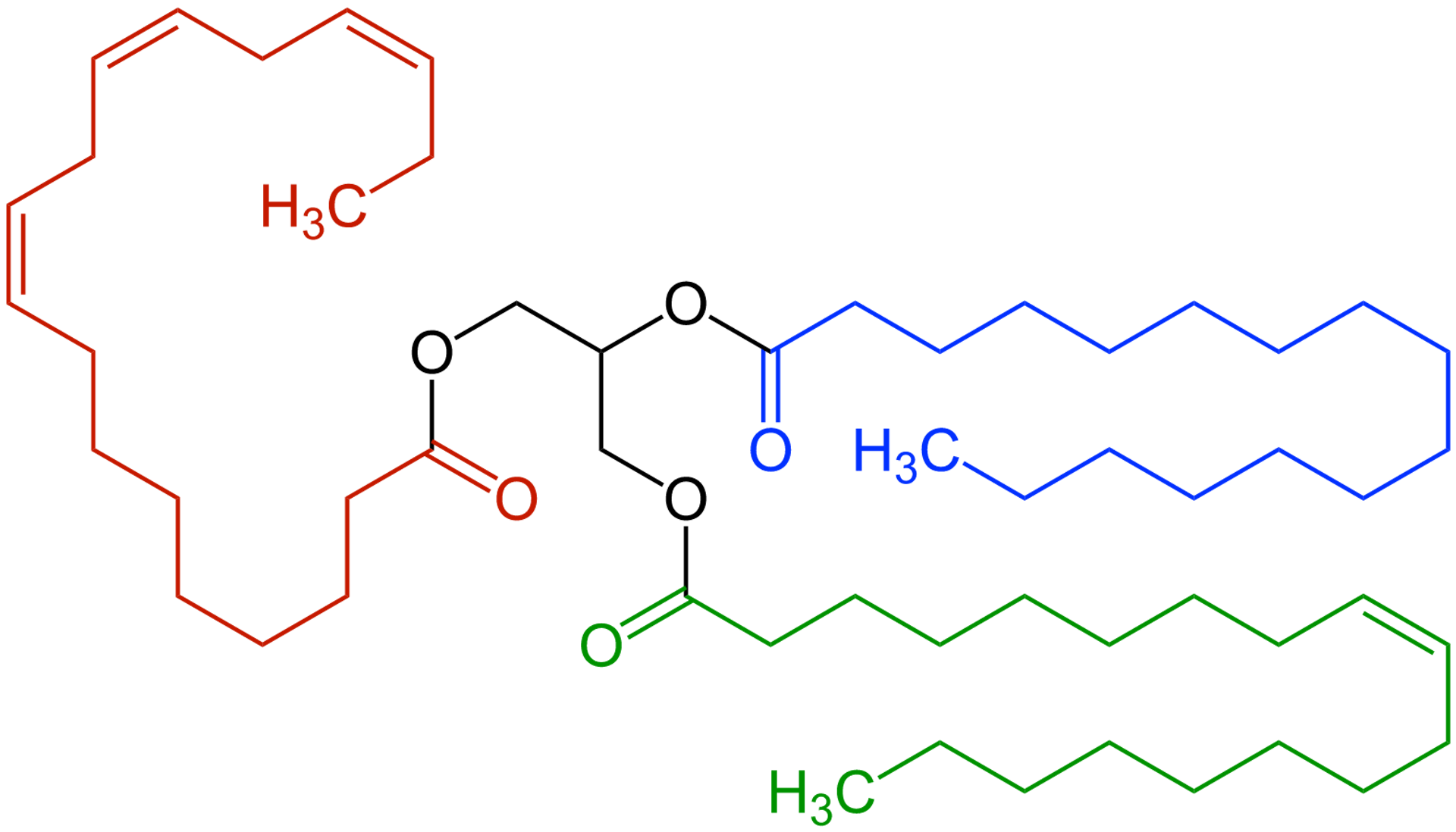 A chemical structure diagram of a triglyceride, which has long carbon and hydrogen chains coming off oxygen molecules linked together.