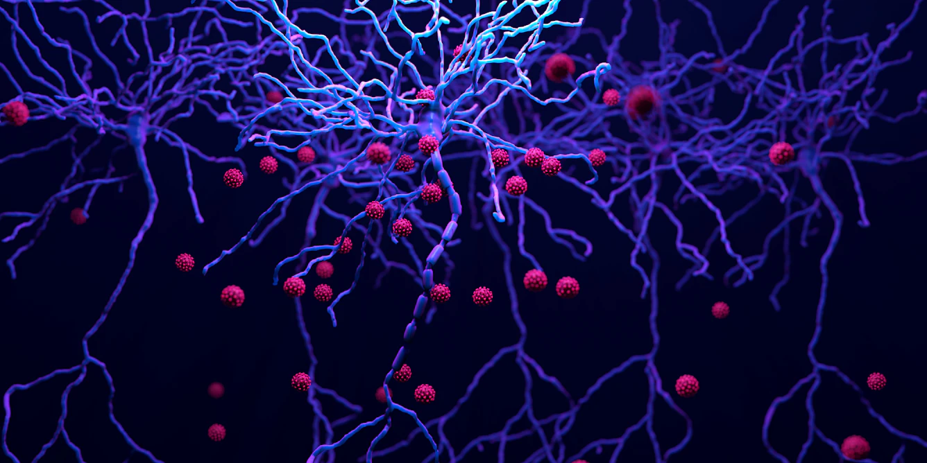 HIV Enters the Brain and Doesn’t Leave – Paradoxically, Drugs Intended to Reduce Brain Inflammation Increase Virus Levels HIV Enters the Brain and Doesn’t Leave – Paradoxically, Drugs Intended to Reduce Brain Inflammation Increase Virus Levels