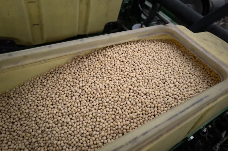 A plastic bin filled with seeds.