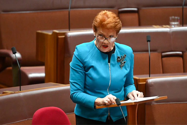 Pauline Hanson speaks in the Senate