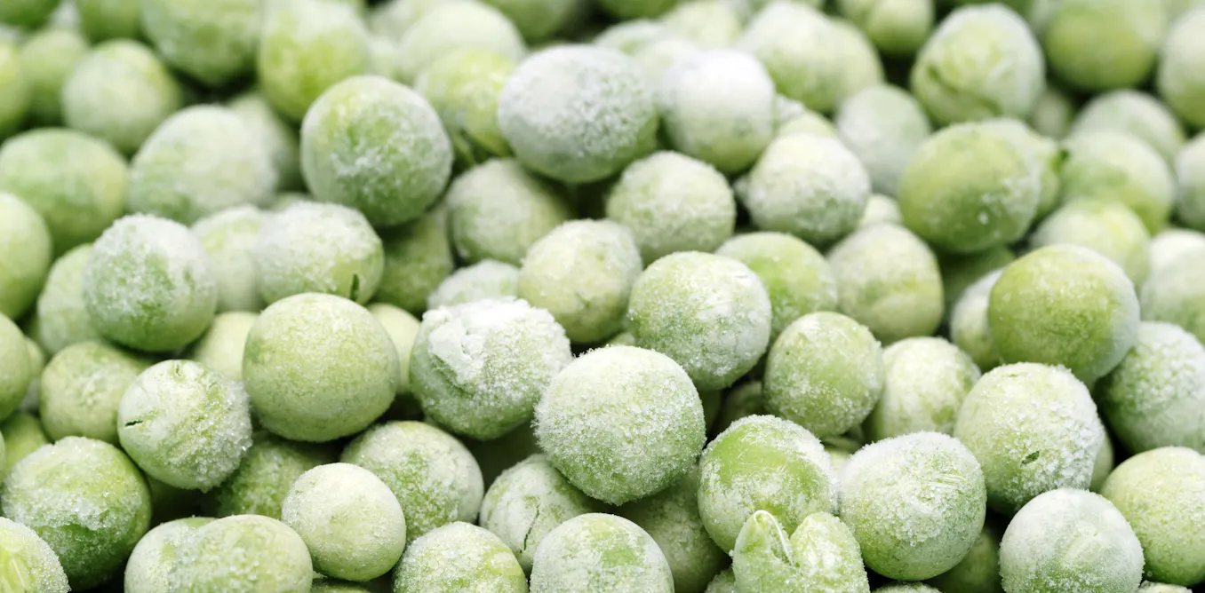 Frozen fruit and canned veg are cheap, but are they as healthy as fresh food? Frozen fruit and canned veg are cheap, but are they as healthy as fresh food?