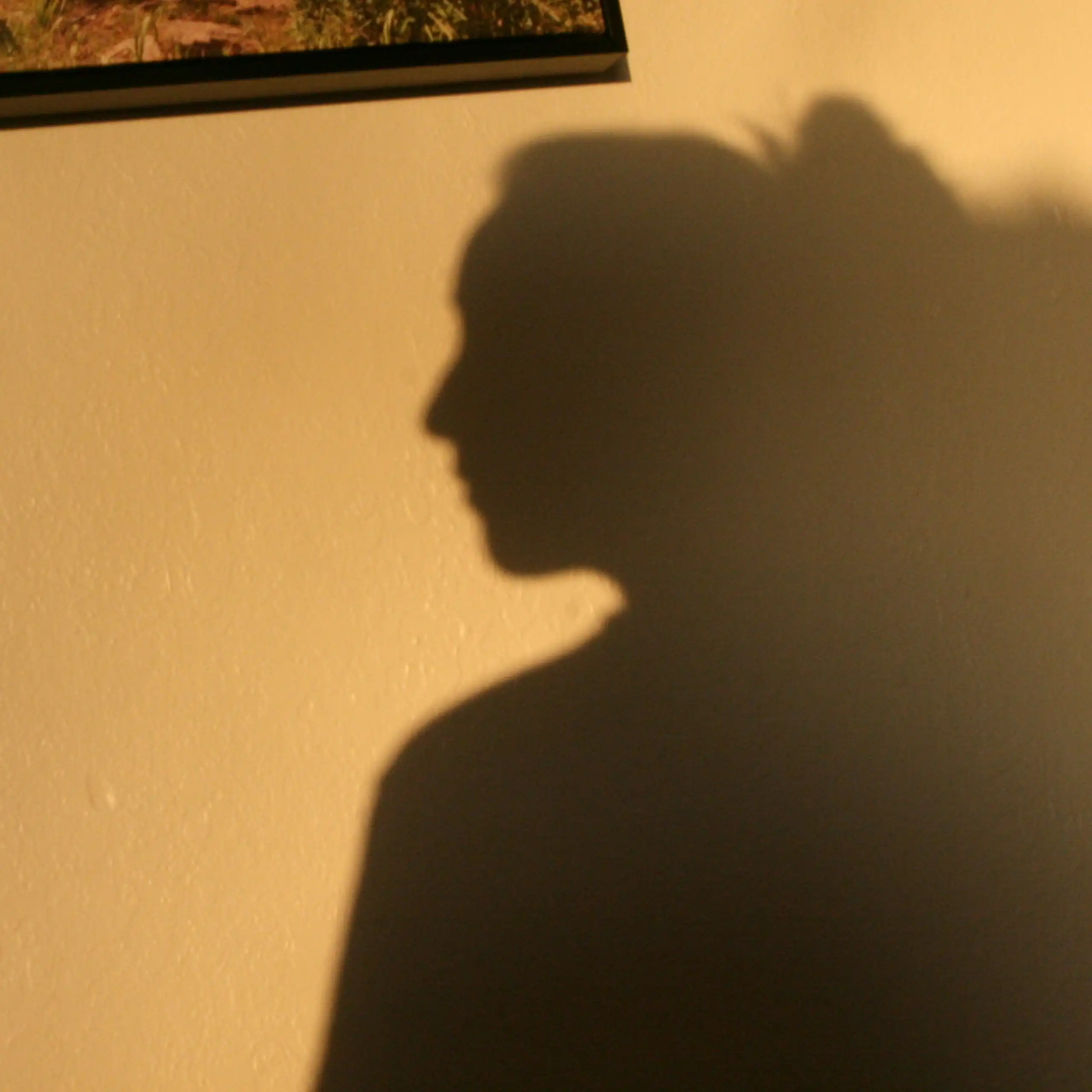 Silhouette dans une maison.