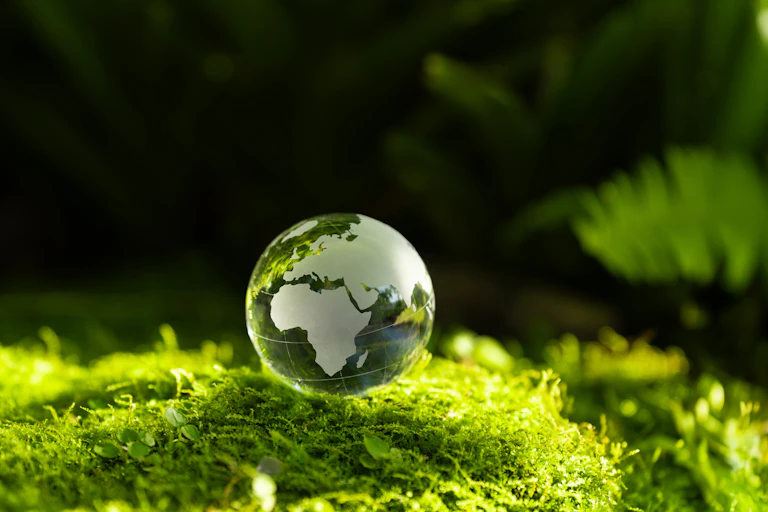 Un globe terrestre en verre sur une lit de mousse ou d'herbe.