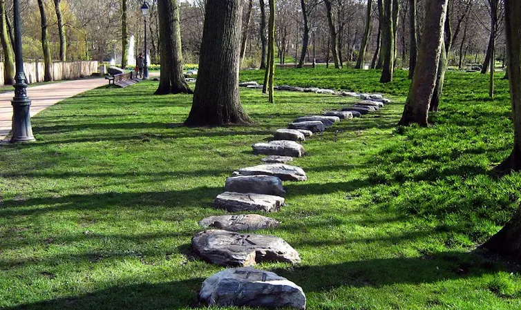Un camino de piedra visible a través de los árboles.