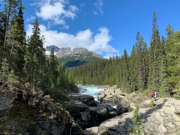 ¿Cuáles son los riesgos de contraer el virus del Nilo Occidental a través de mosquitos en Canadá? 1 El río fluye a través de un paisaje de árboles altos con un cielo azul profundo detrás