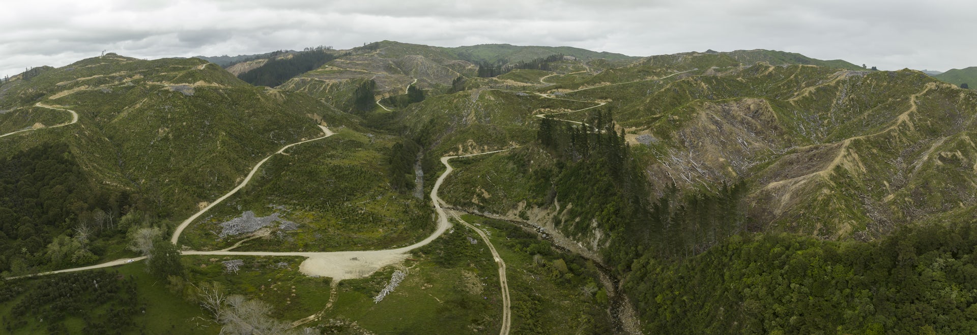 NZ’s new forestry rules promise consistency. Will they also increase environmental risk?