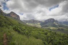 A steep mountain side with mountains in the background, covered with long grass and shrubs