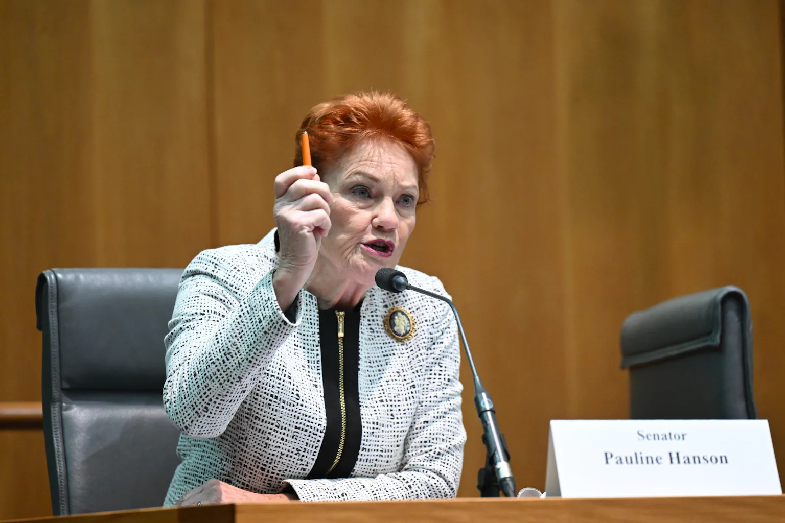 Grattan on Friday: Hanson prepares to take the big stage as Husic hits out at straitjacket on caucus