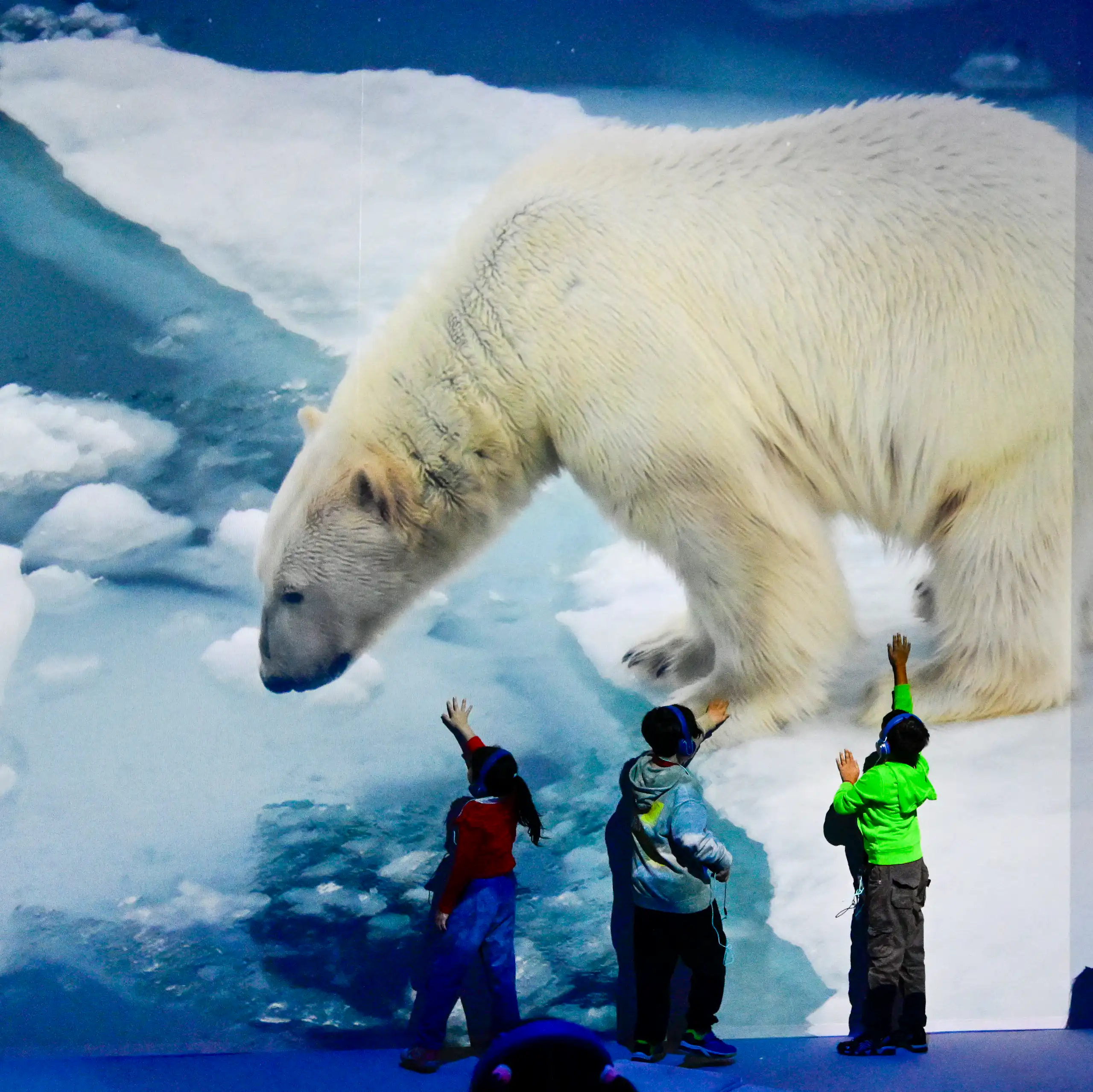 Enfants qui regardent une exposition sur le monde polaire
