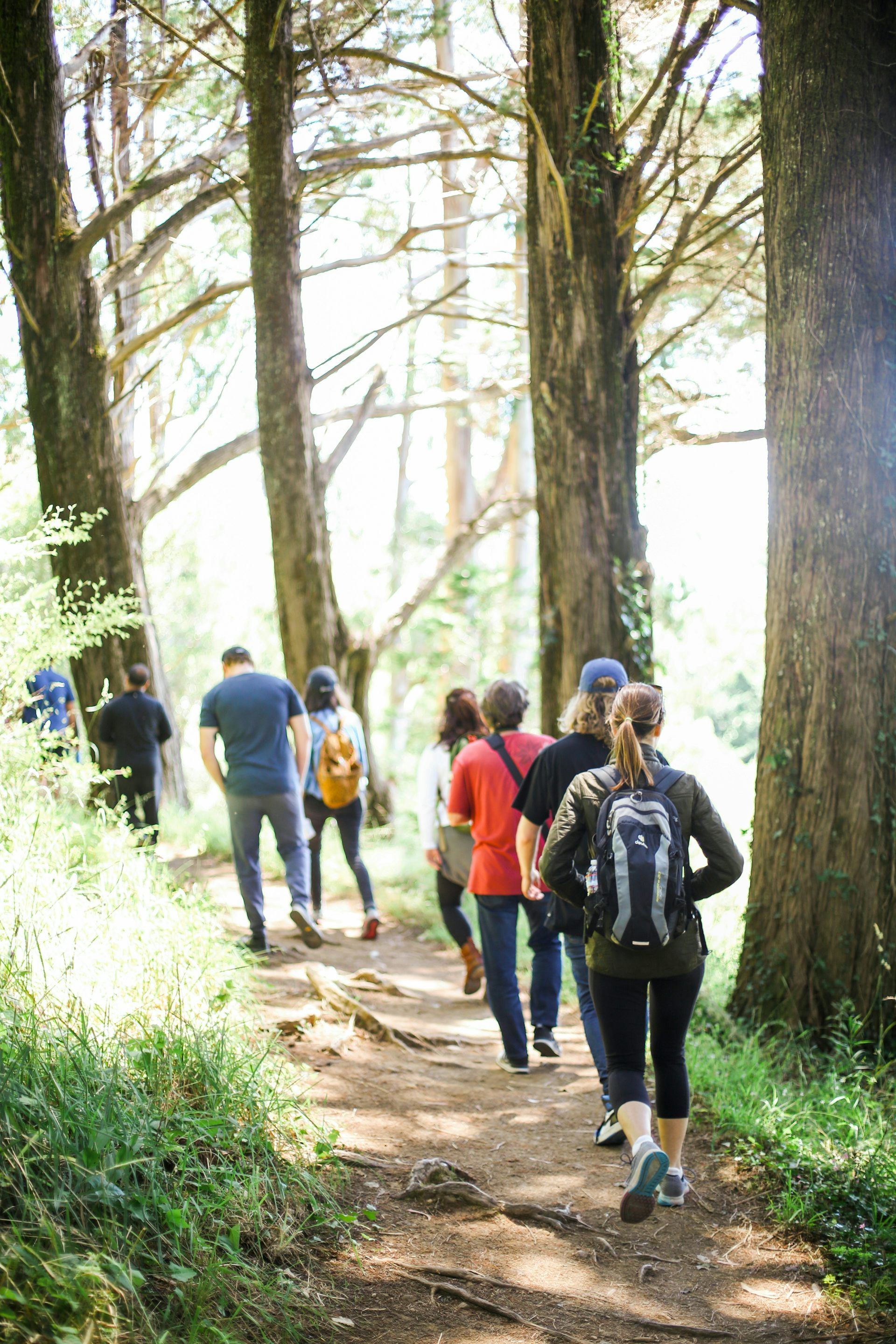 la gente camina por un sendero en el bosque.