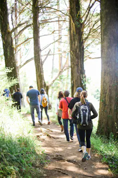 la gente camina por un sendero en el bosque.