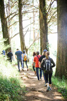people walk about a trail in a woodland.
