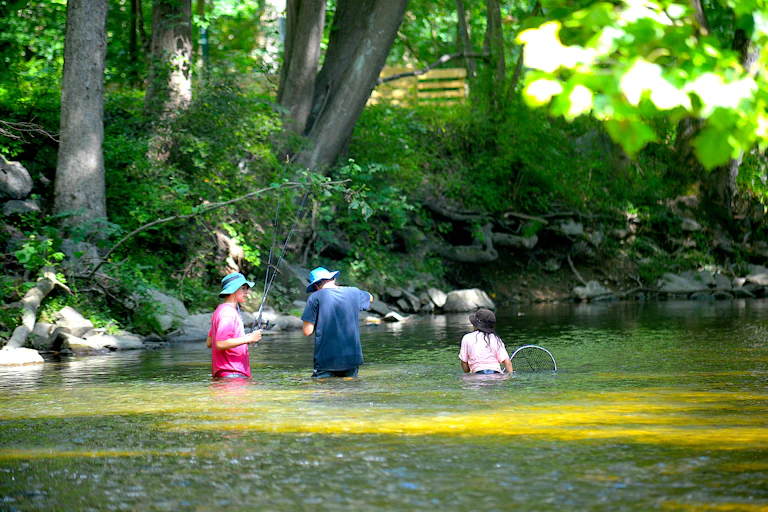 Three people are fishing in a creek.