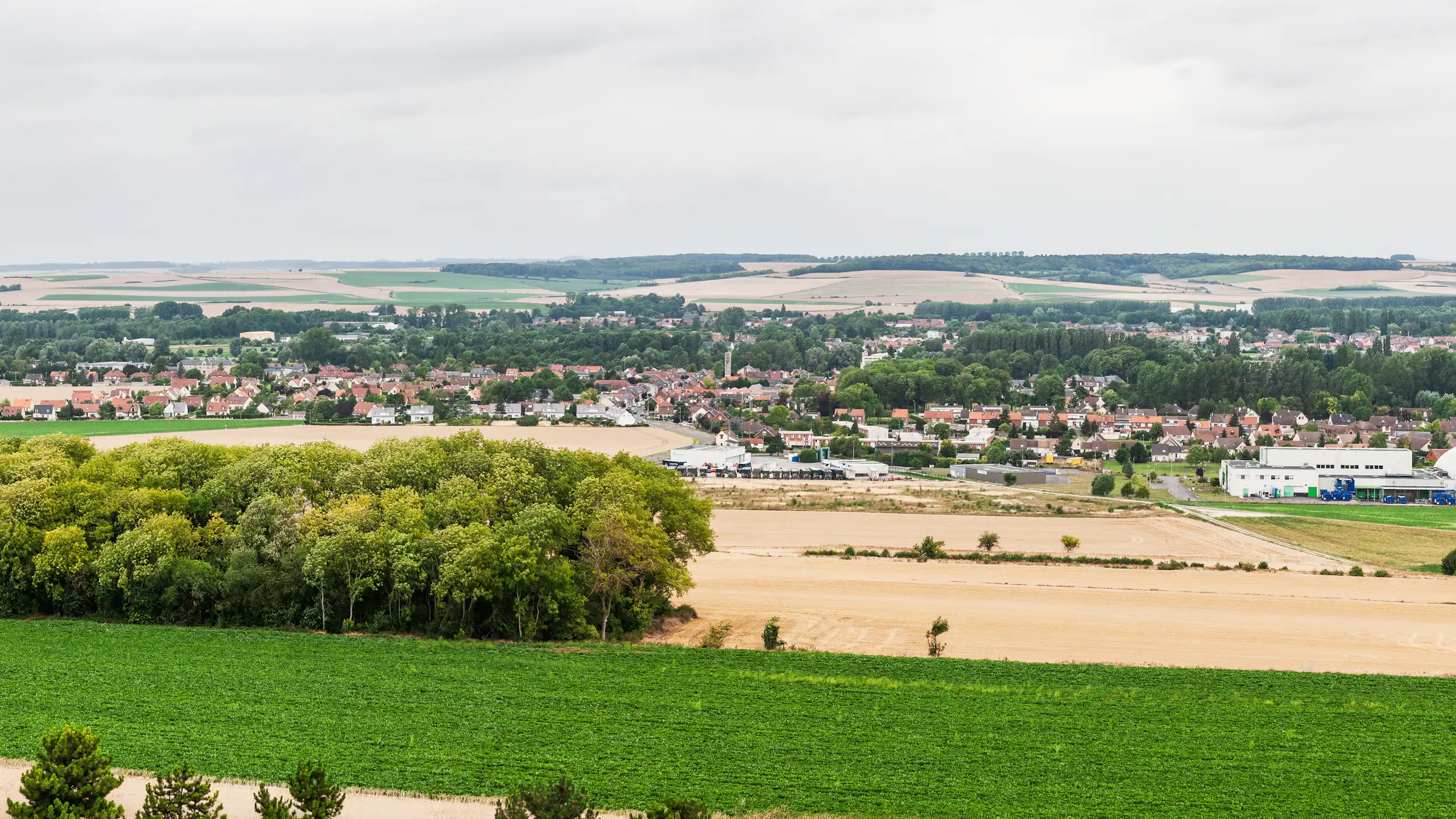 Vue panoramique d'un paysage rural avec un village en arrière-plan.